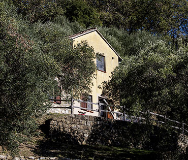 Villaggio San Martino a Torraca nel Cilento. Immerso nella natura