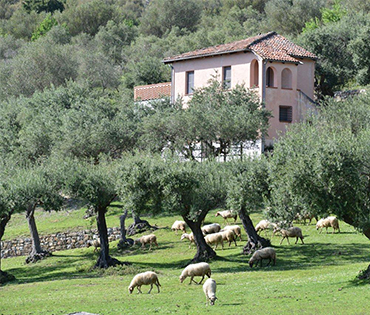 Villaggio San Martino a Torraca nel Cilento. Immerso nella natura