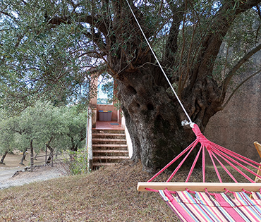 Villaggio San Martino a Torraca nel Cilento. Immerso nella natura