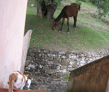 Villaggio San Martino a Torraca nel Cilento. Immerso nella natura