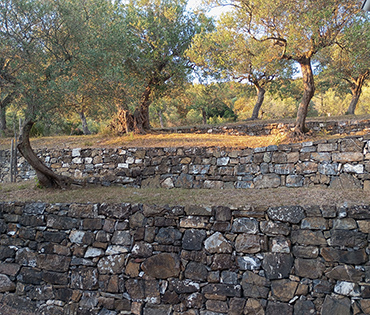 Villaggio San Martino a Torraca nel Cilento. Immerso nella natura