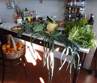Fattoria e Prodotti - Villaggio San Martino