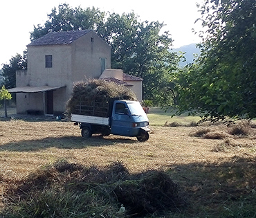 Fattoria e Prodotti - Villaggio San Martino