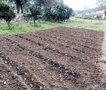 Fattoria e Prodotti - Villaggio San Martino
