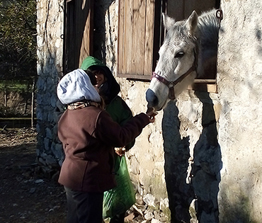 Fattoria e Prodotti - Villaggio San Martino