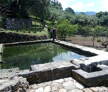 Fattoria e Prodotti - Villaggio San Martino