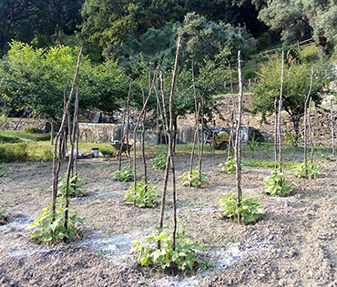 Fattoria e Prodotti - Villaggio San Martino