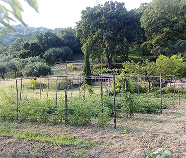 Fattoria e Prodotti - Villaggio San Martino
