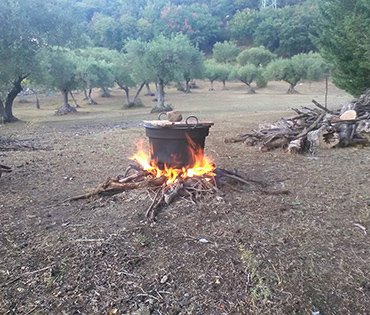Fattoria e Prodotti - Villaggio San Martino
