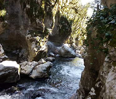 Golfo e dintorni - Villaggio San Martino